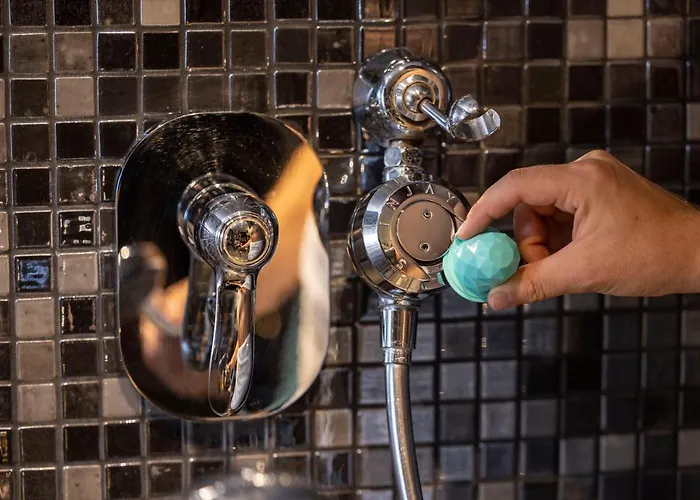 Whistler Hotel Paris