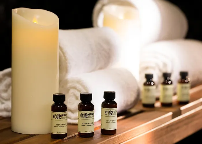 Whistler Hotel Paris